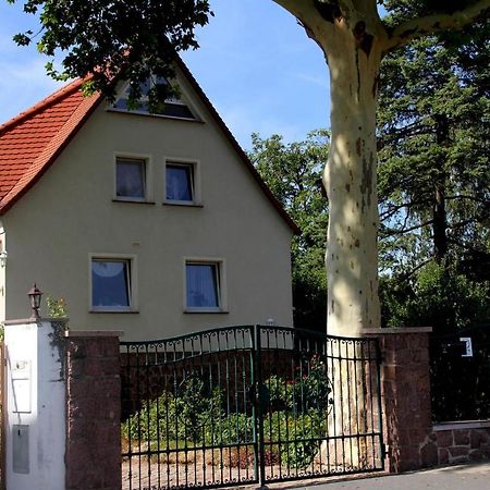 Pension Elbblick Sabine Zuschke Meißen Zewnętrze zdjęcie